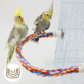 Multi - Color Parrot Perch - Furbabies Online